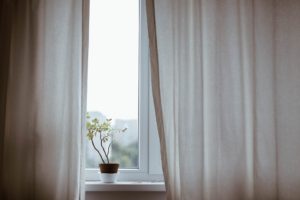 Плесень на откосах окон: причины появления и методы борьбы